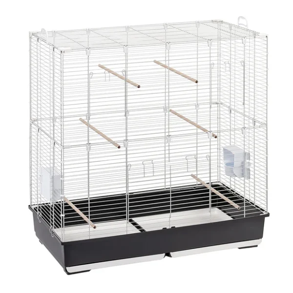 1-0180020706_x620 Bird Cage
