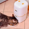 3-0190025347_5d9a6e9e-08a5-4863-8143-4dfd790e2585_x620 Pet Feeder