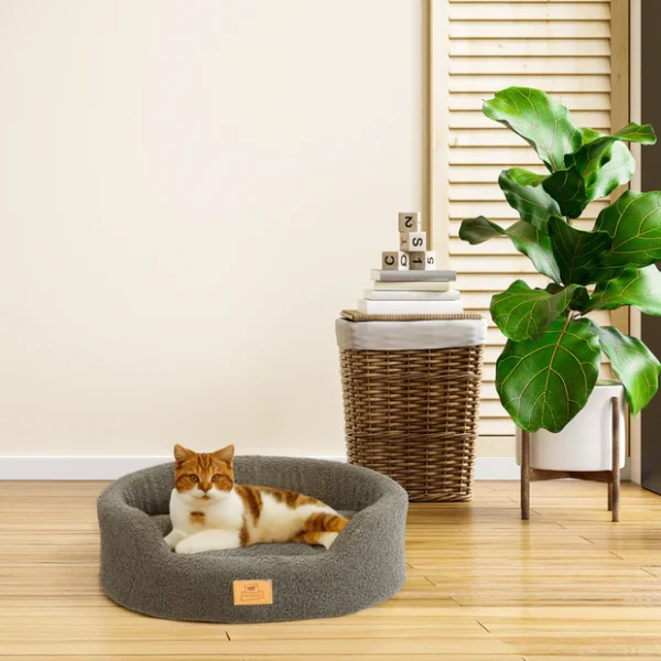 Padded Bed